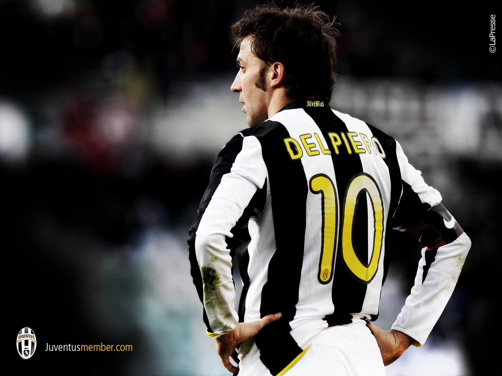 Alessandro Del Piero Wallpapers