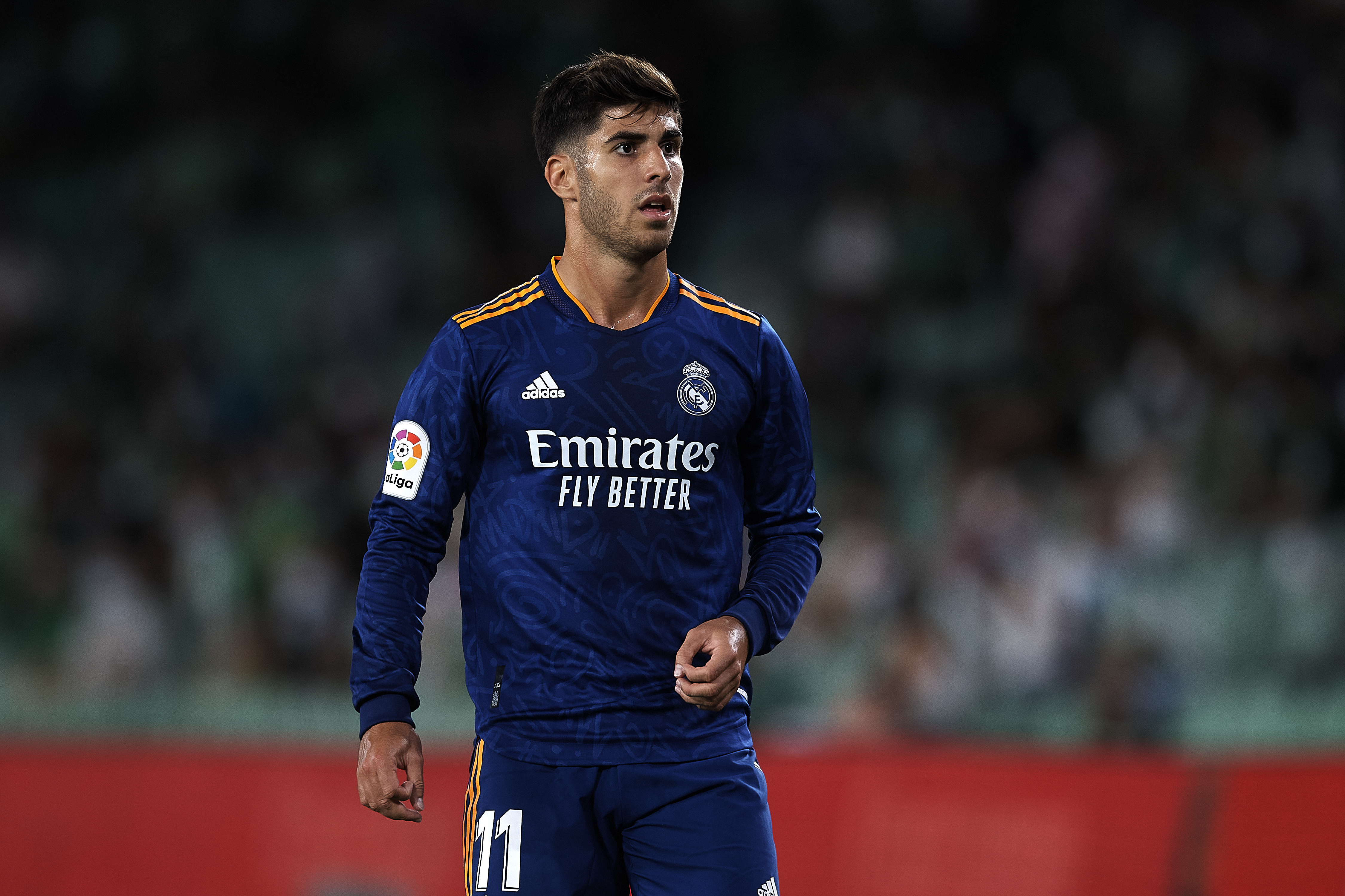 Asensio Wallpapers