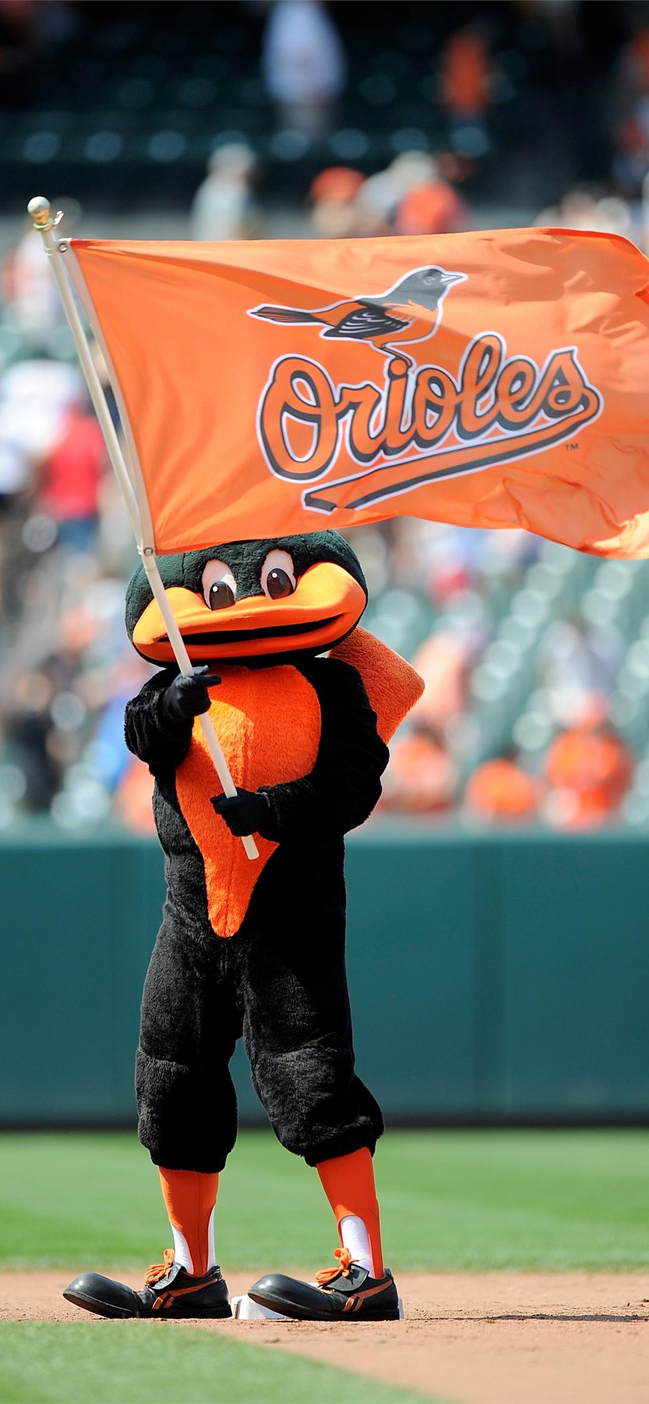 Baltimore Orioles Wallpapers