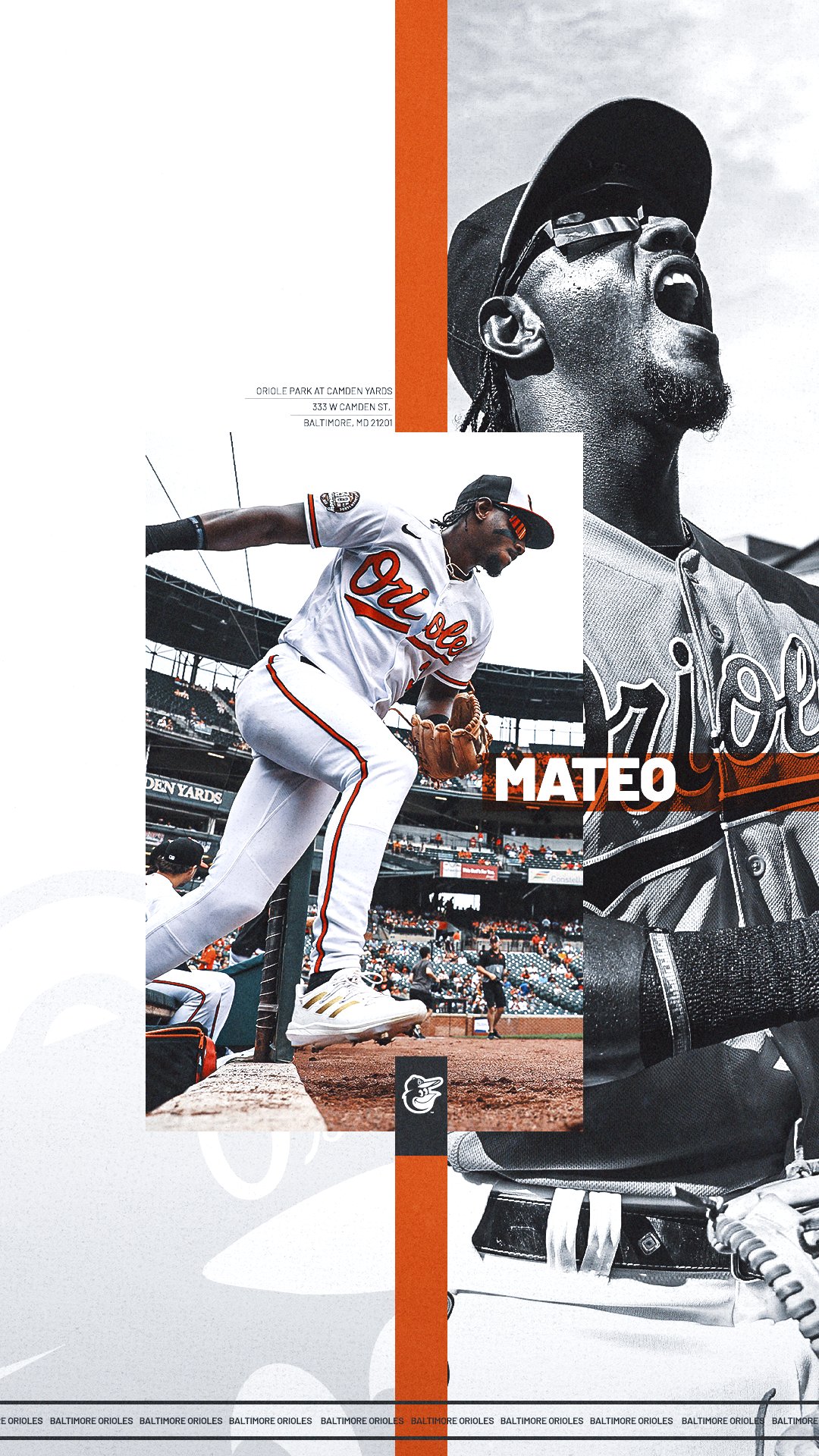 Baltimore Orioles Wallpapers