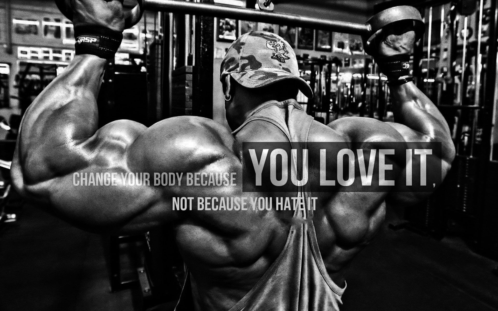 Bodybuilding Wallpapers