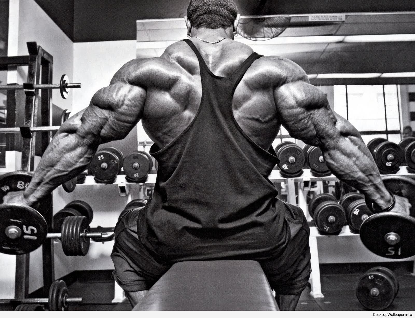 Bodybuilding Wallpapers