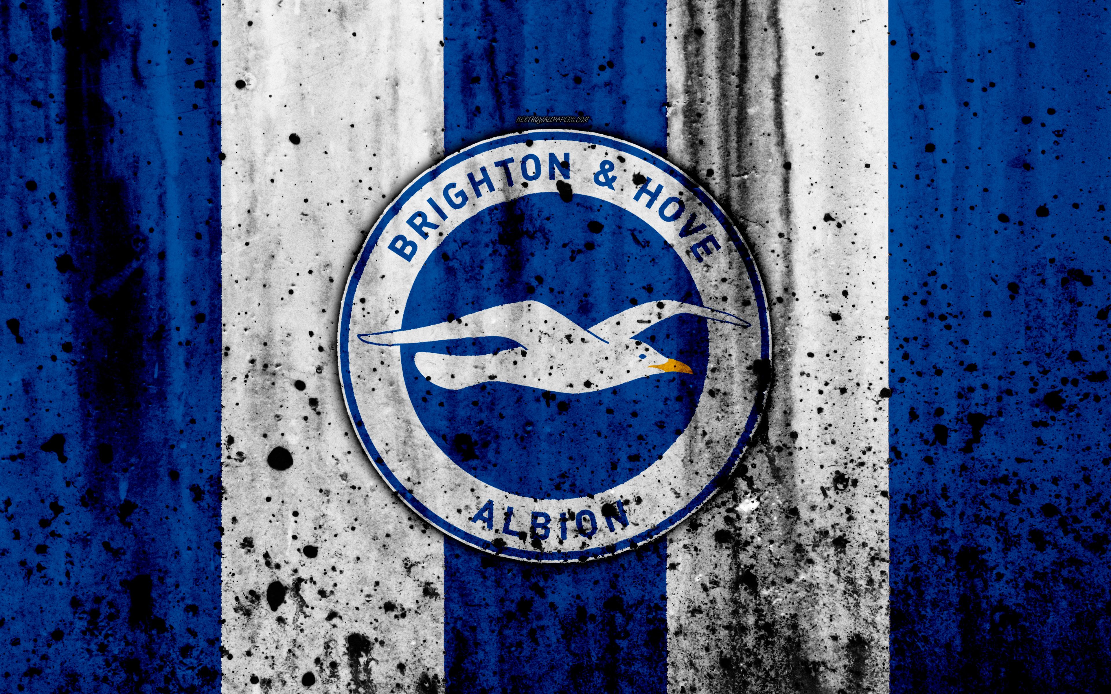 Brighton & Hove Albion F.C. Wallpapers