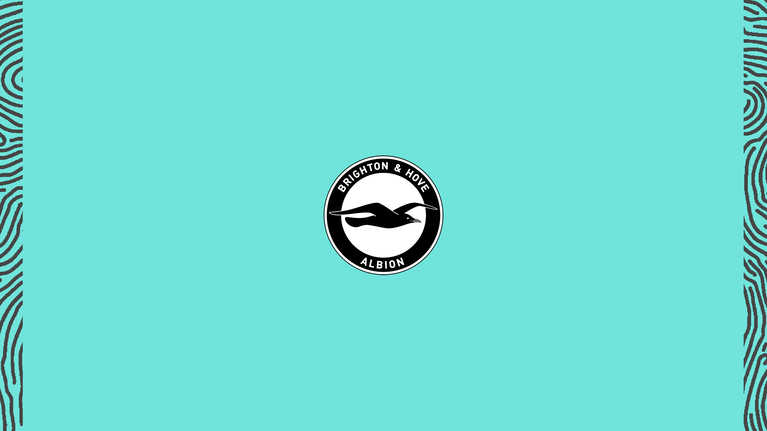 Brighton & Hove Albion F.C. Wallpapers