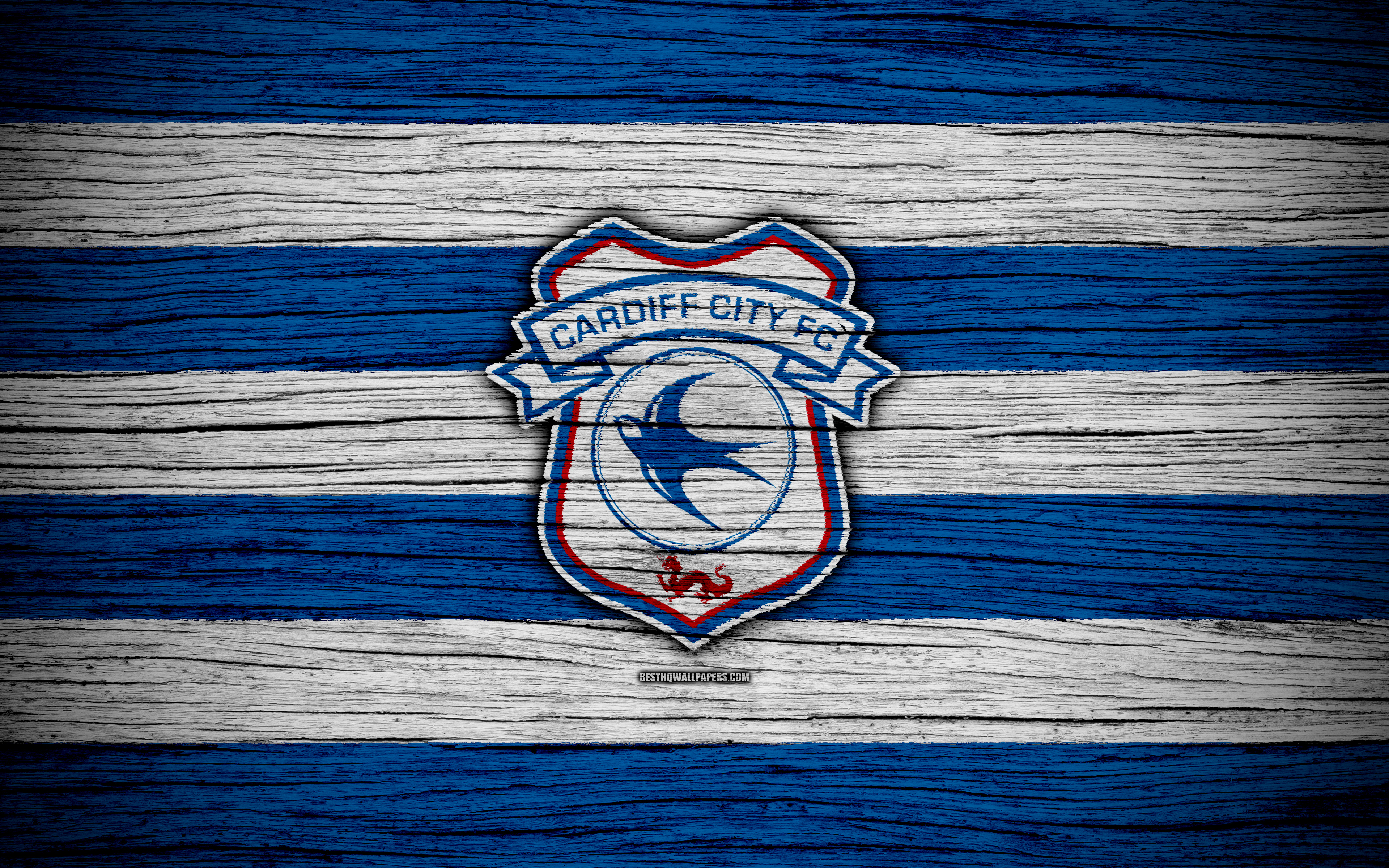 Cardiff City F.C. Wallpapers