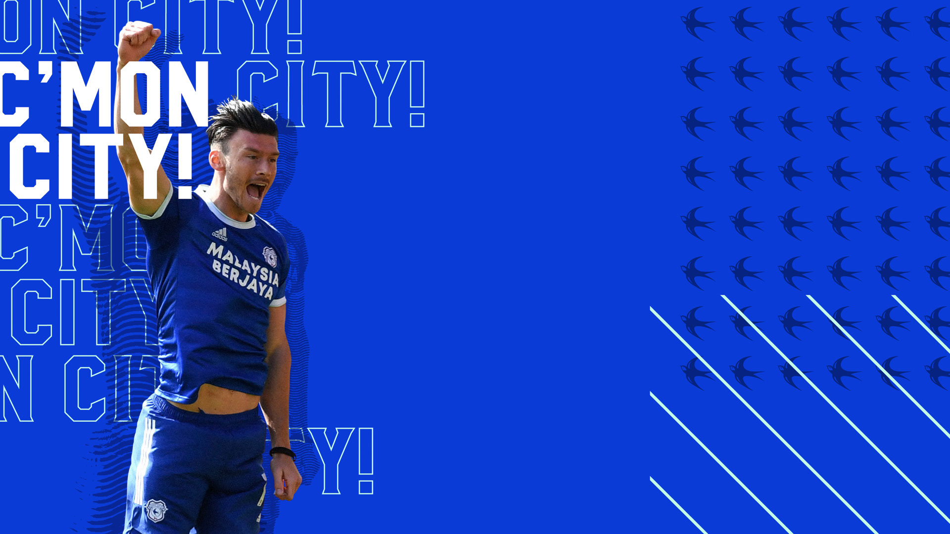 Cardiff City F.C. Wallpapers