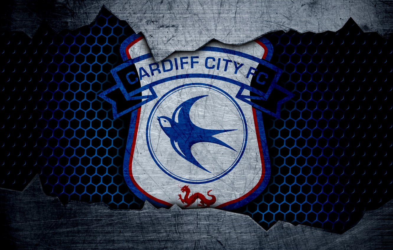 Cardiff City F.C. Wallpapers