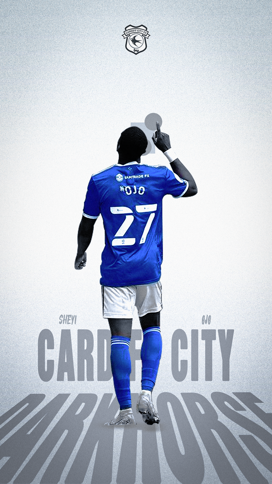 Cardiff City F.C. Wallpapers