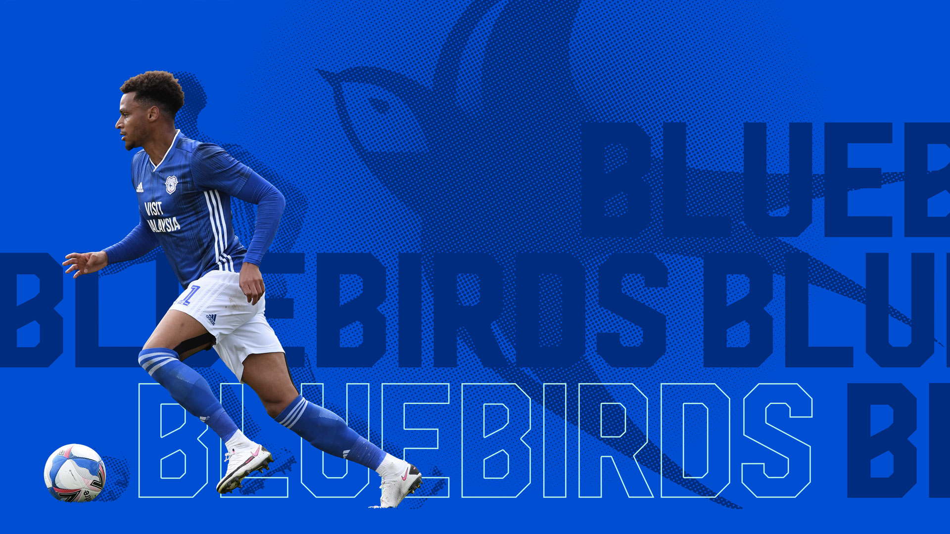 Cardiff City F.C. Wallpapers