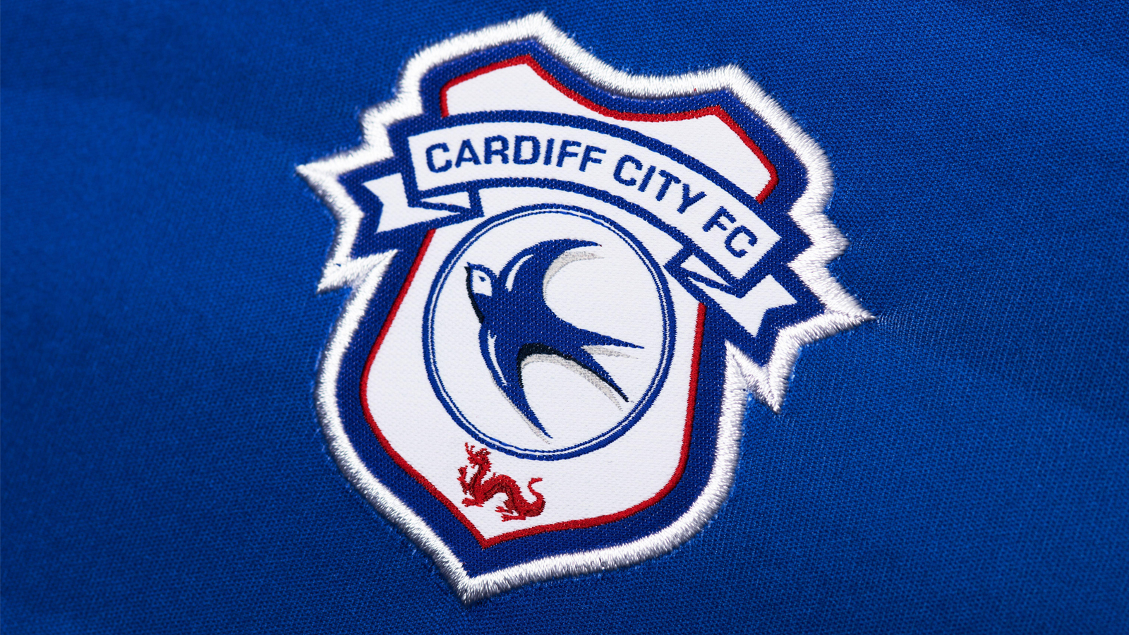 Cardiff City F.C. Wallpapers