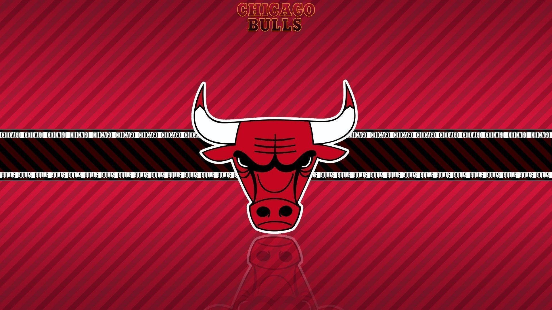 Chicago Bulls Wallpapers