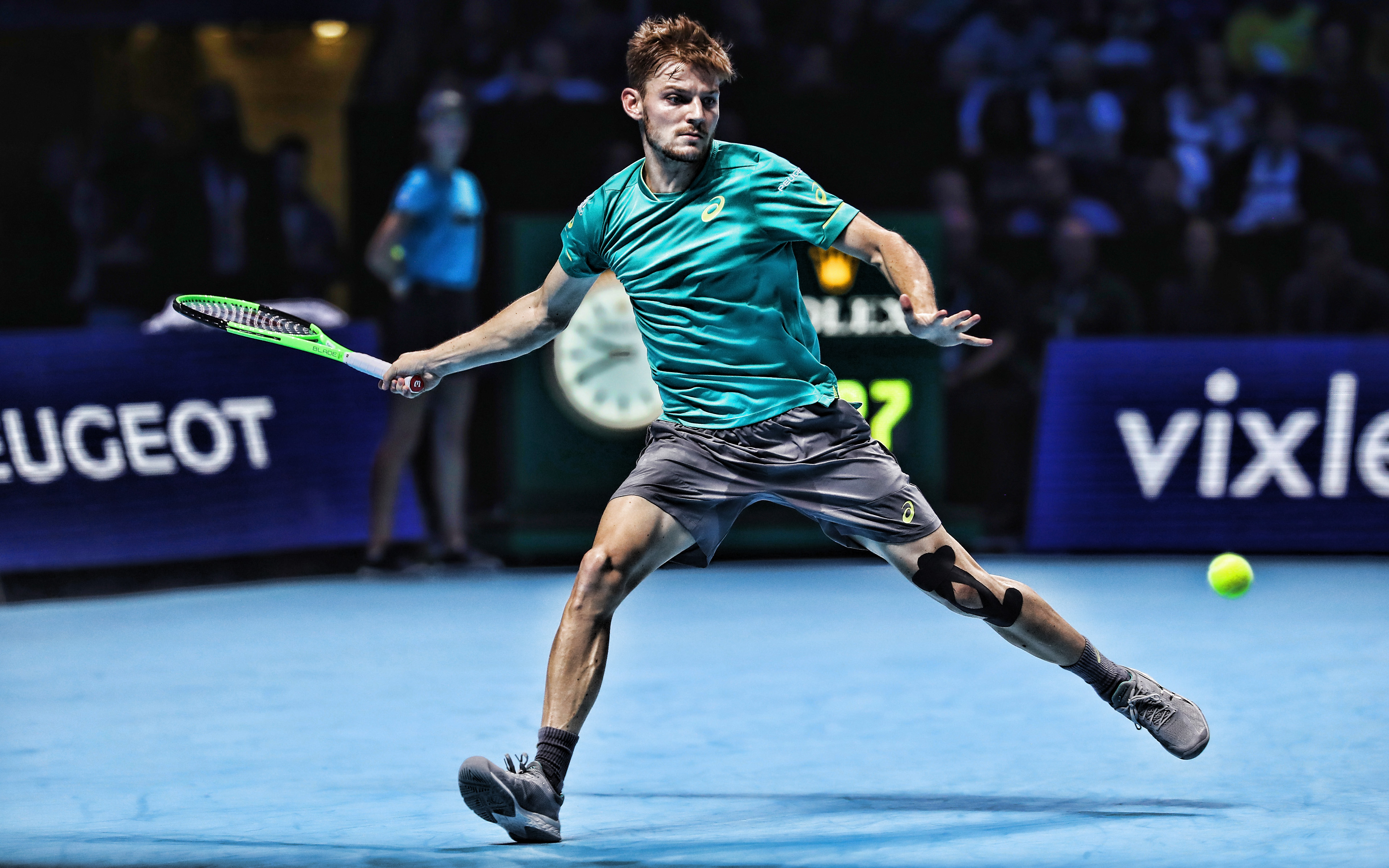 David Goffin Wallpapers
