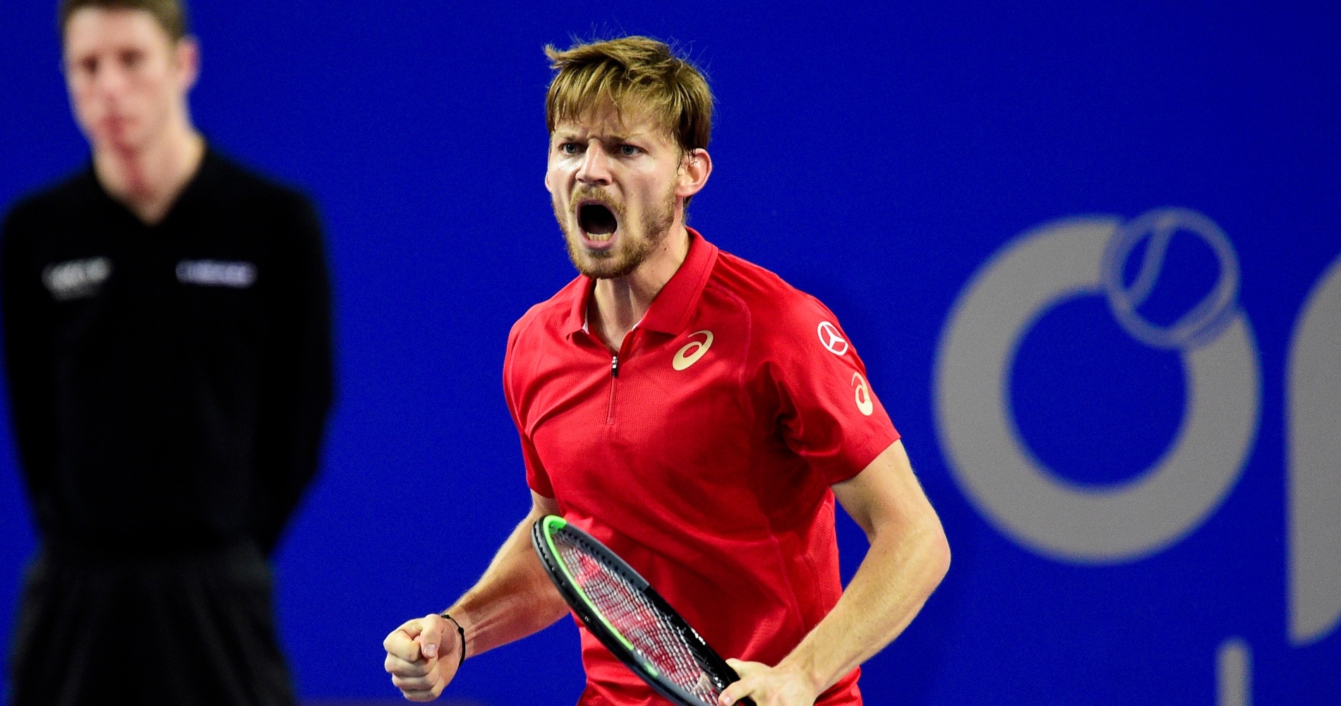 David Goffin Wallpapers