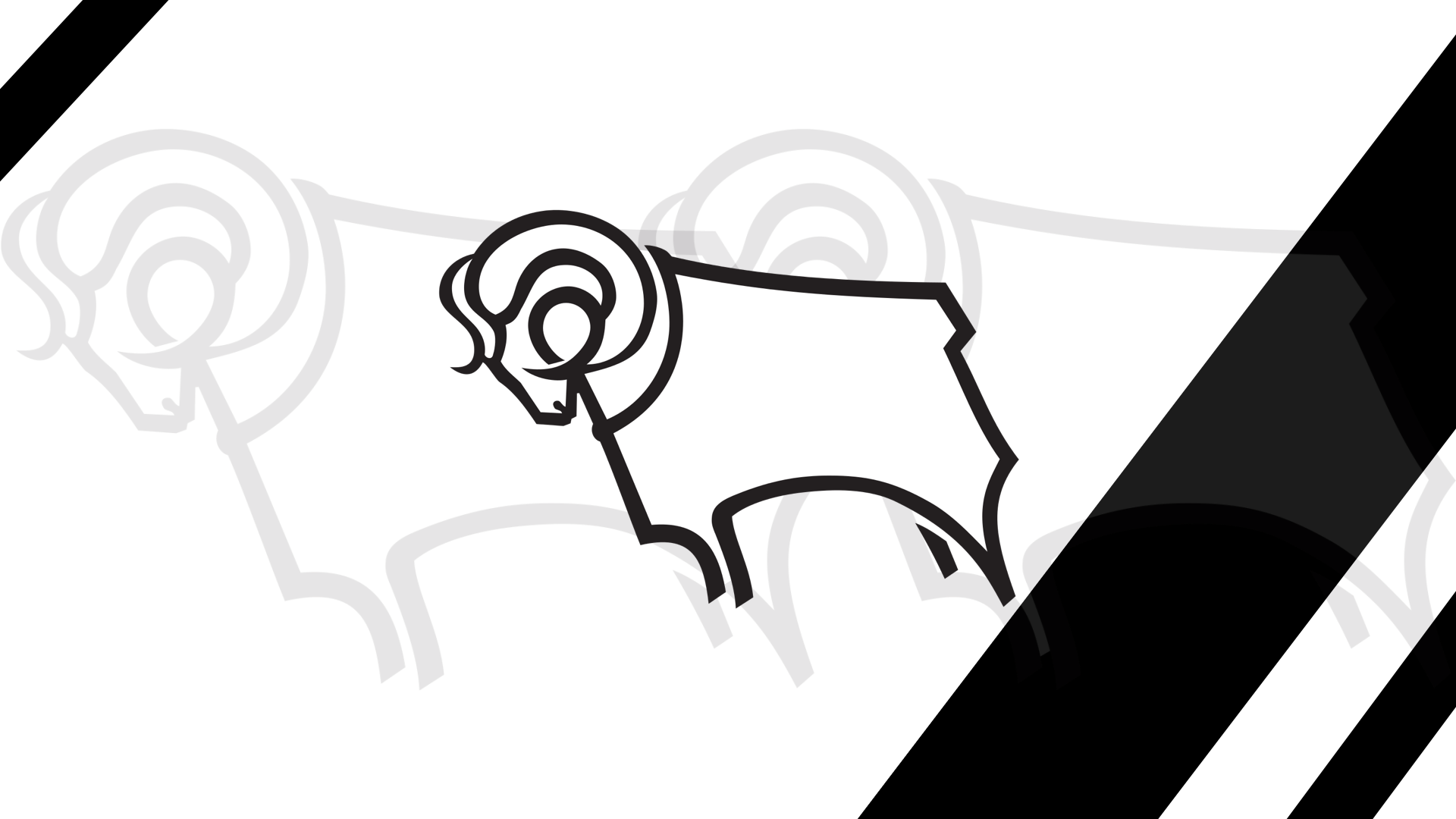 Derby County F.C. Wallpapers