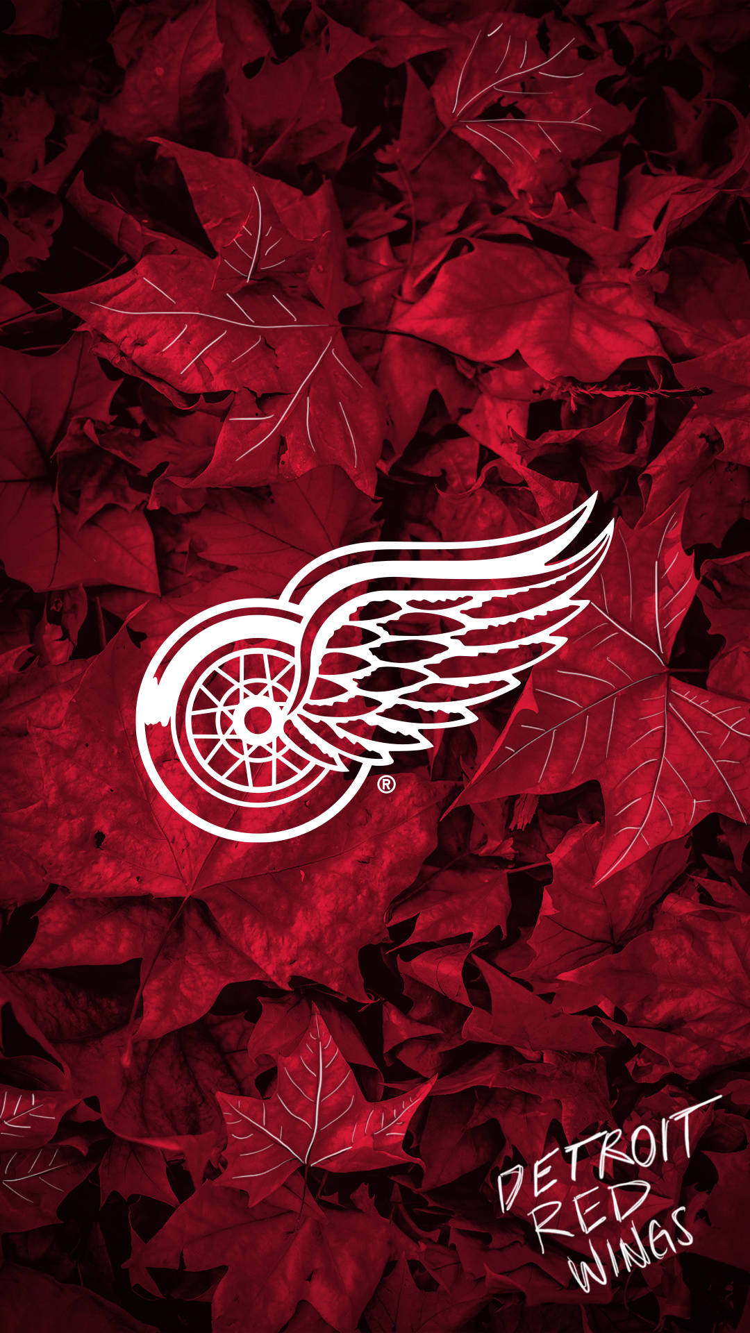 Detroit Red Wings Wallpapers