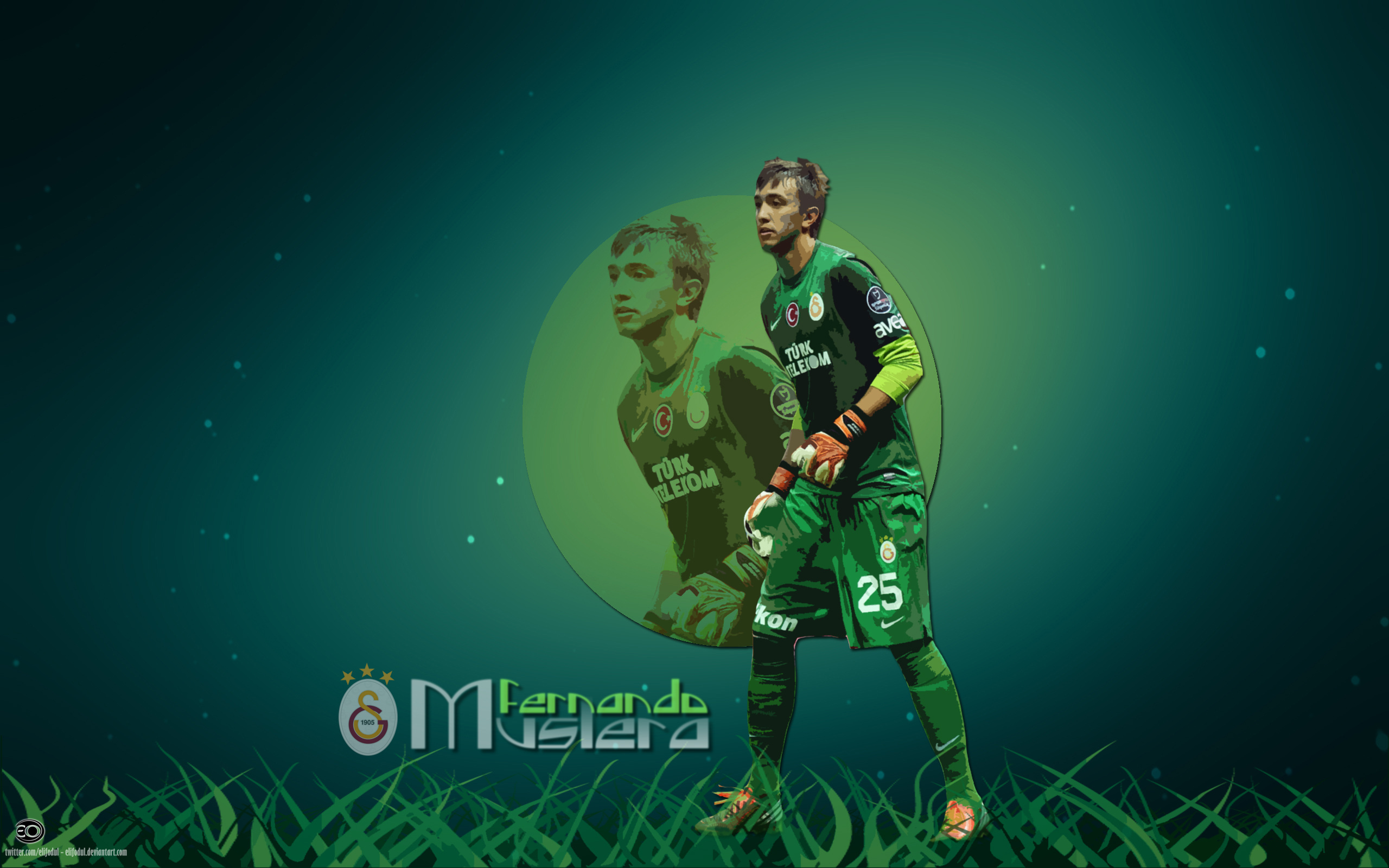 Fernando Muslera Wallpapers