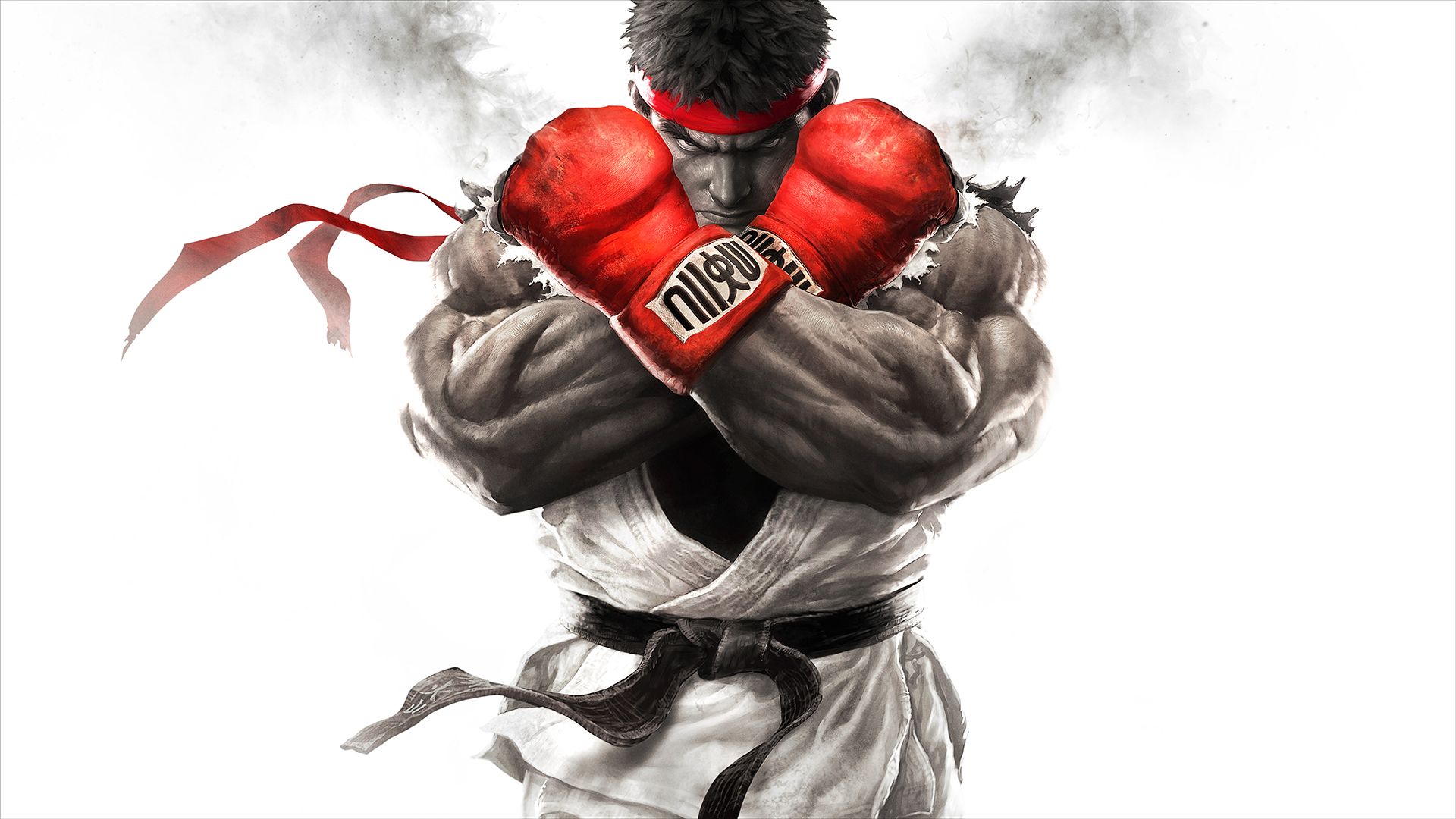 Fighting Sport Wallpapers