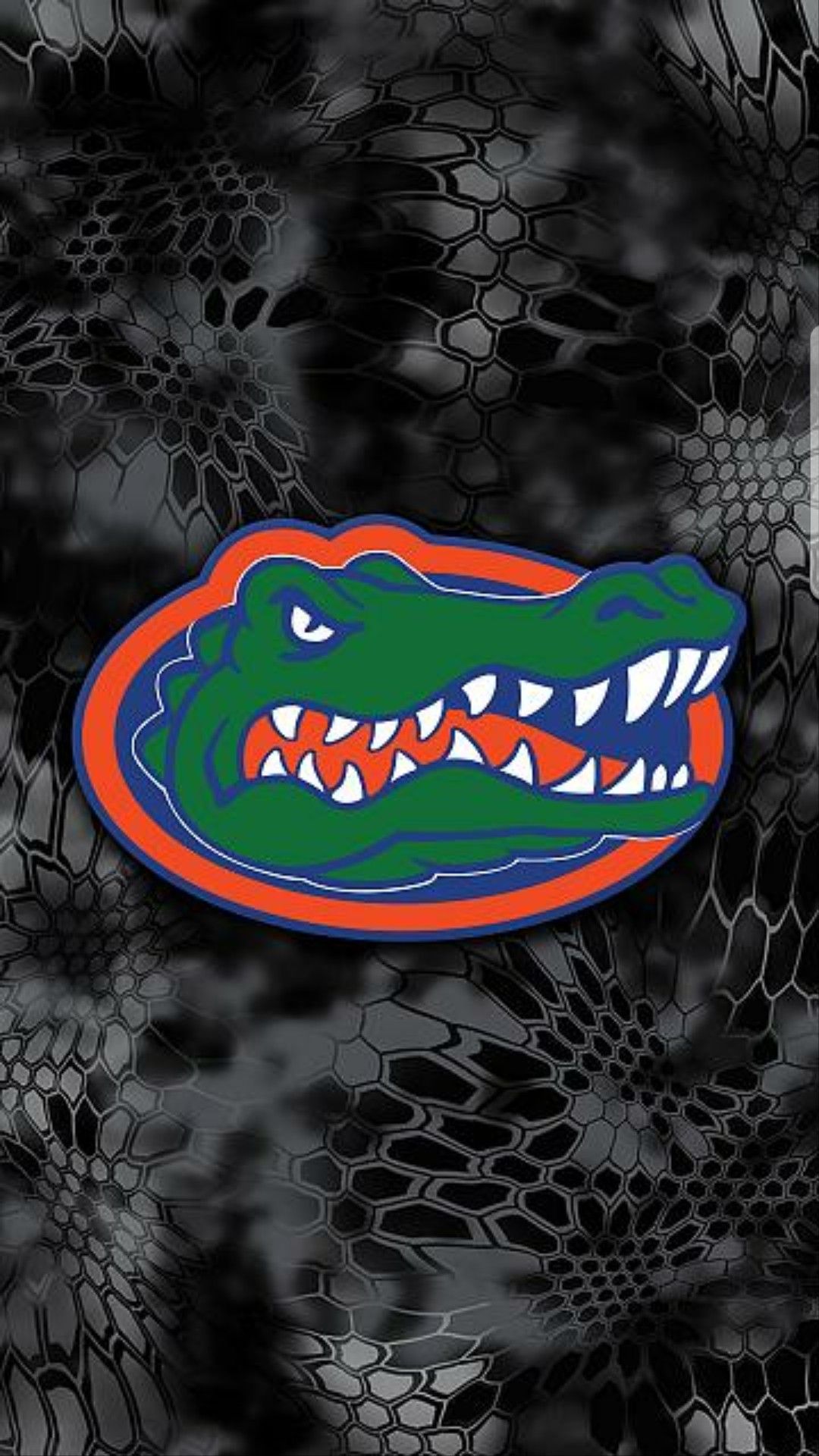 Florida Gators Wallpapers