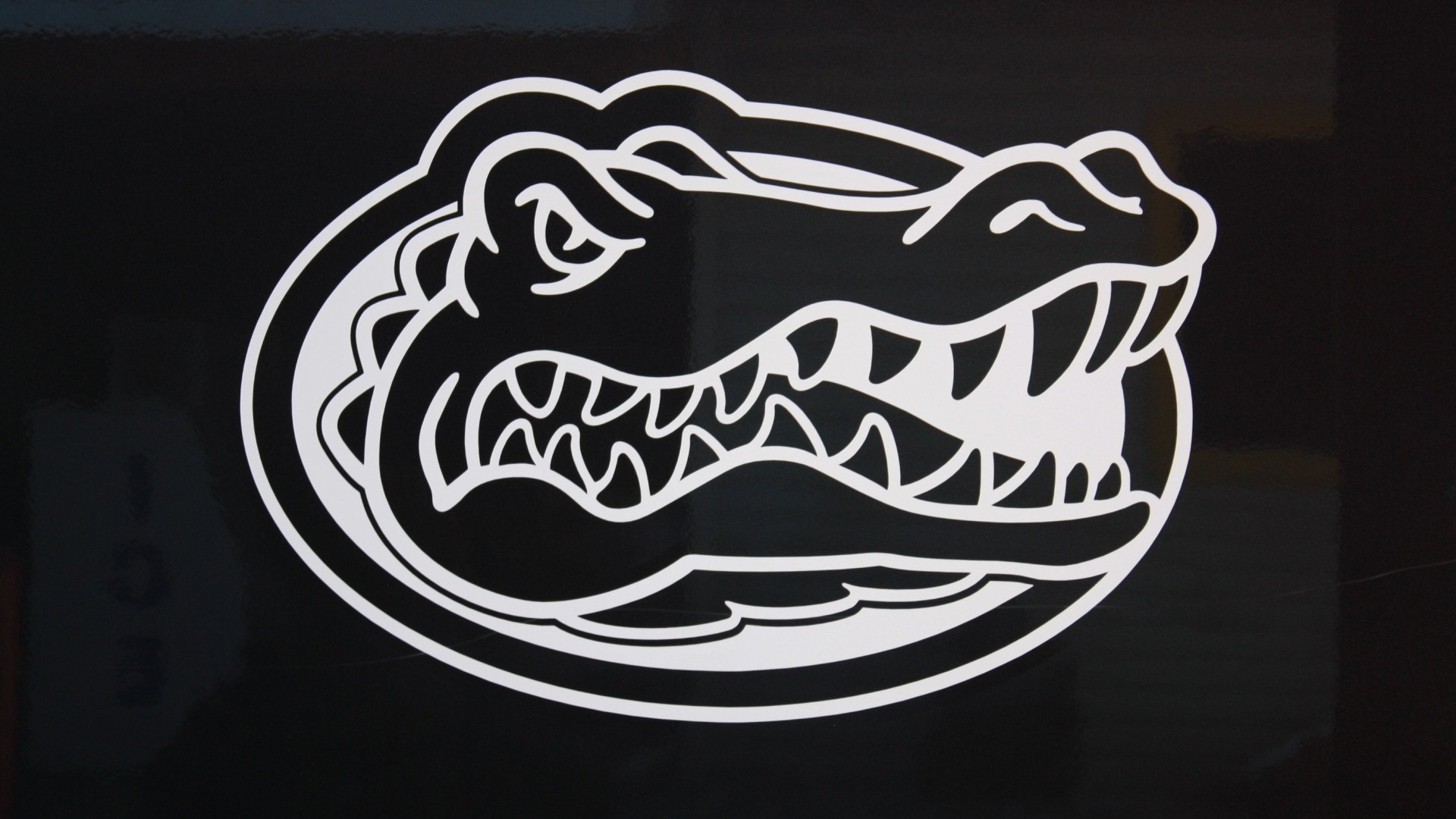 Florida Gators Wallpapers