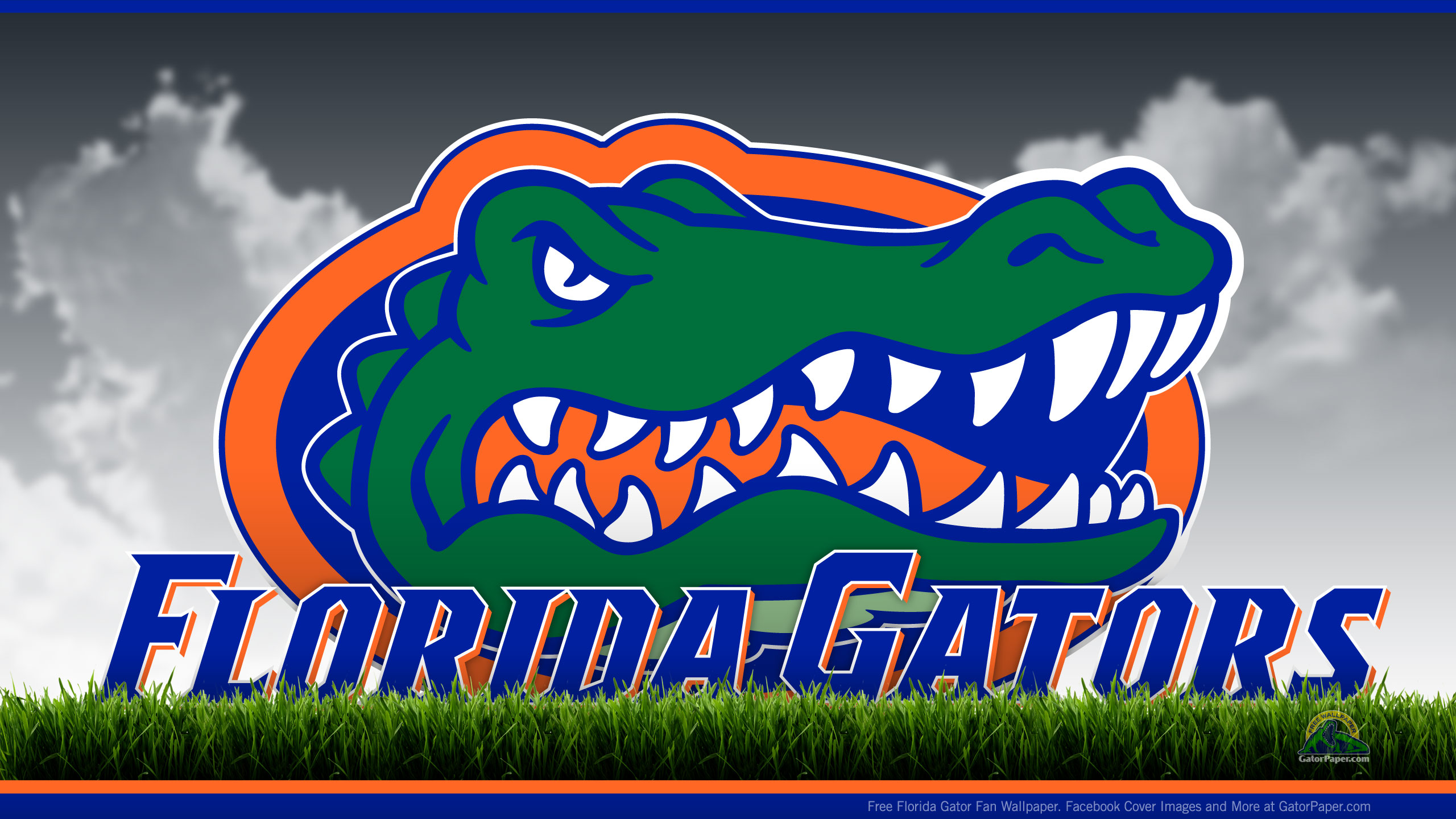 Florida Gators Wallpapers