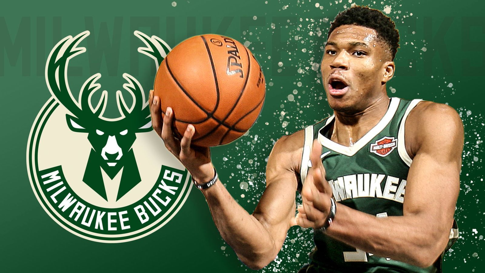 Giannis Antetokounmpo Bucks Wallpapers