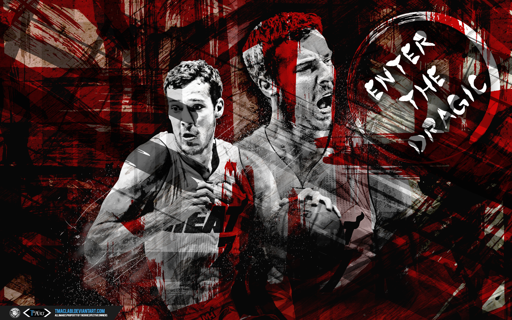 Goran Dragic Wallpapers