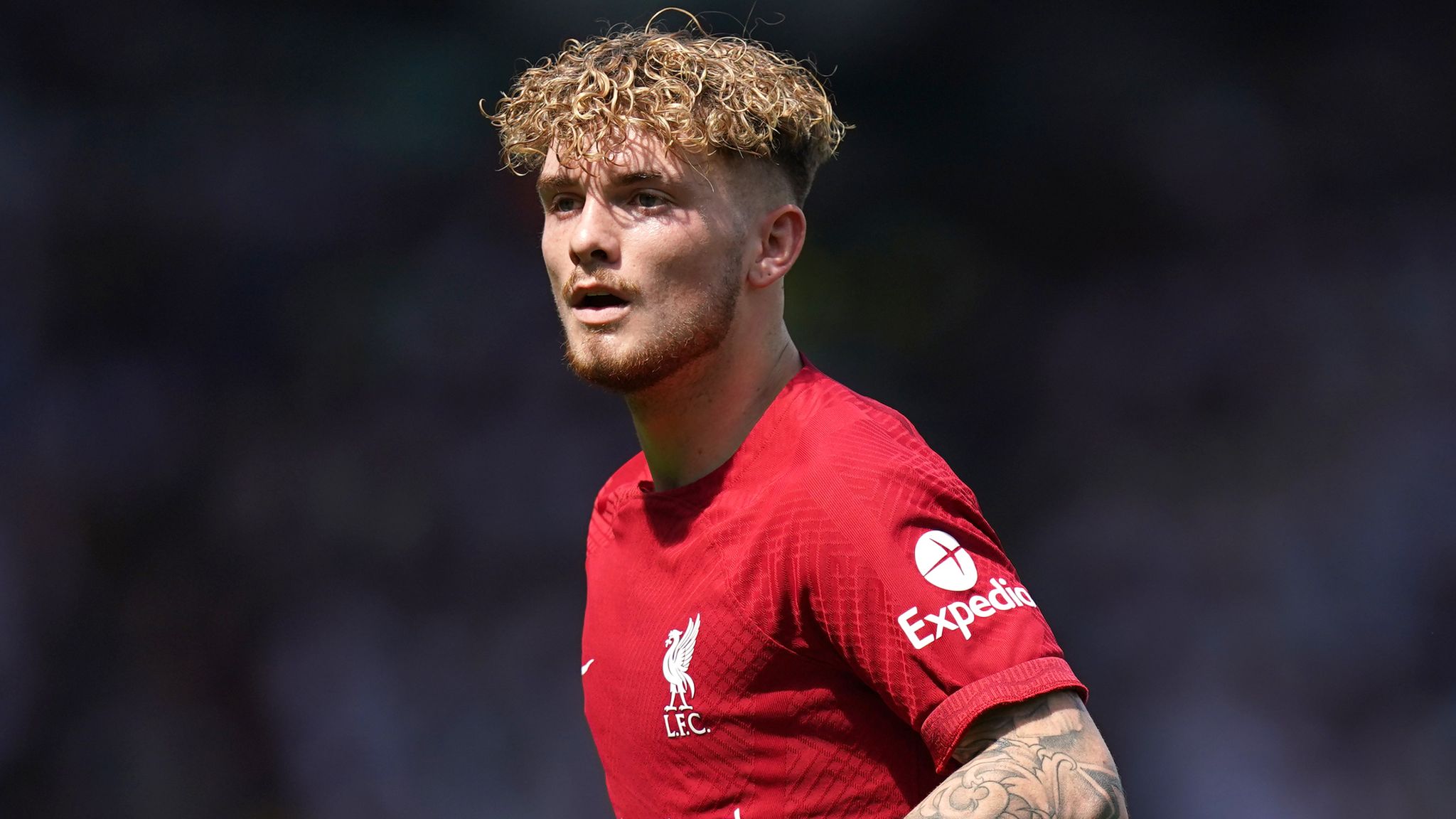 Harvey Elliott Wallpapers