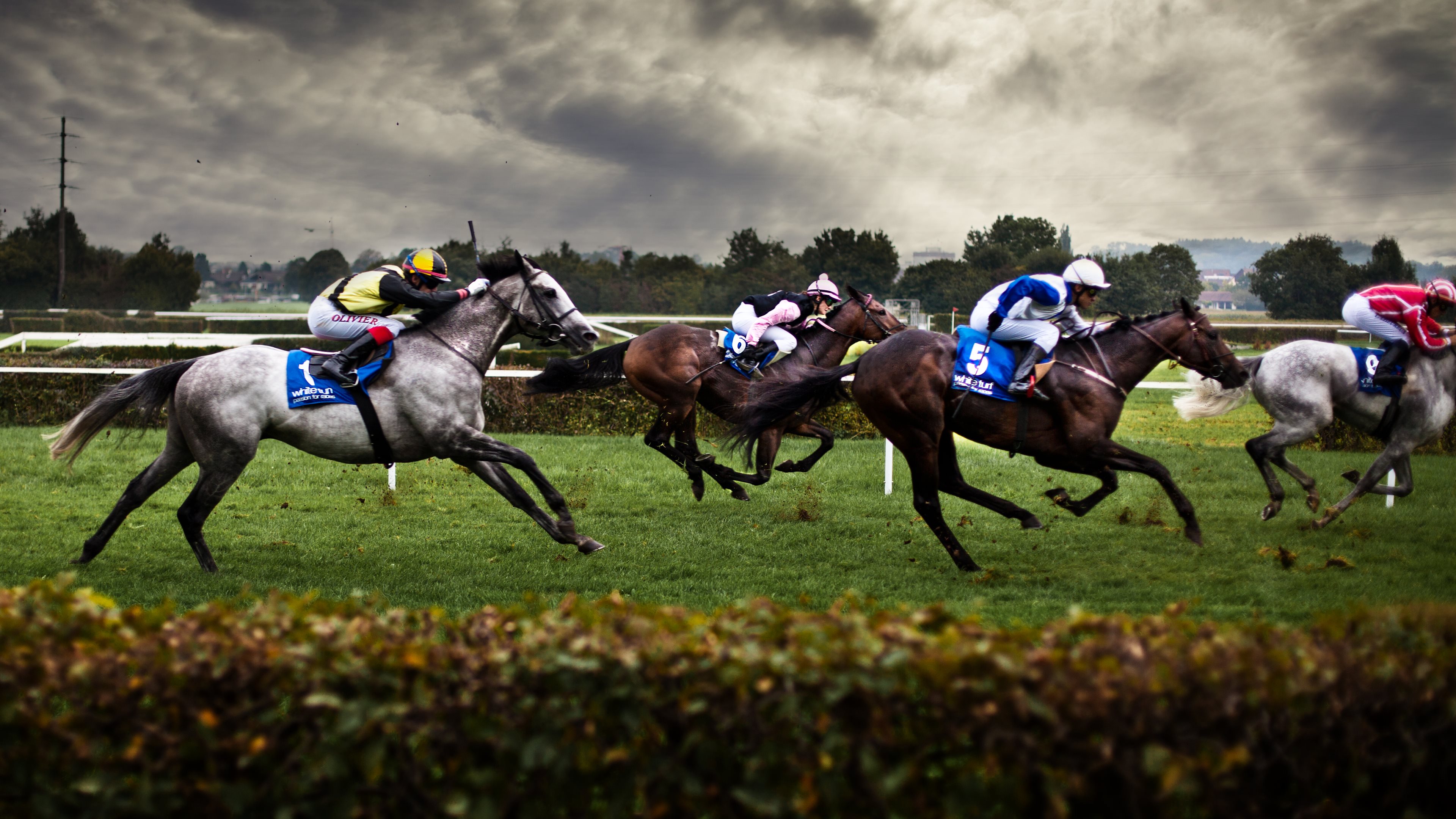 Horse Racing Wallpapers