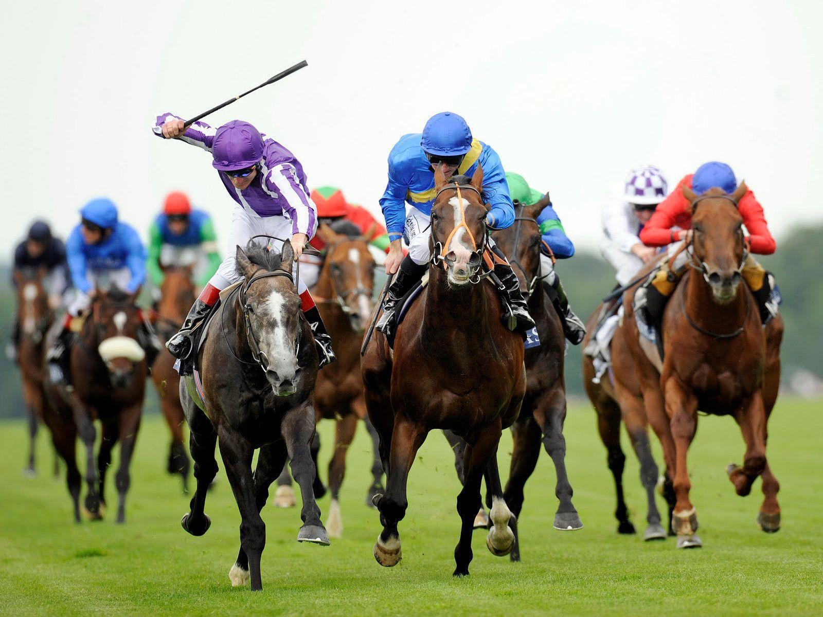 Horse Racing Wallpapers