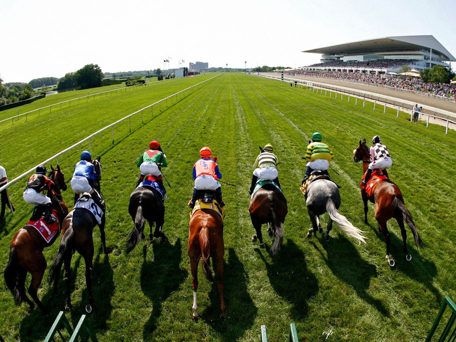 Horse Racing Wallpapers