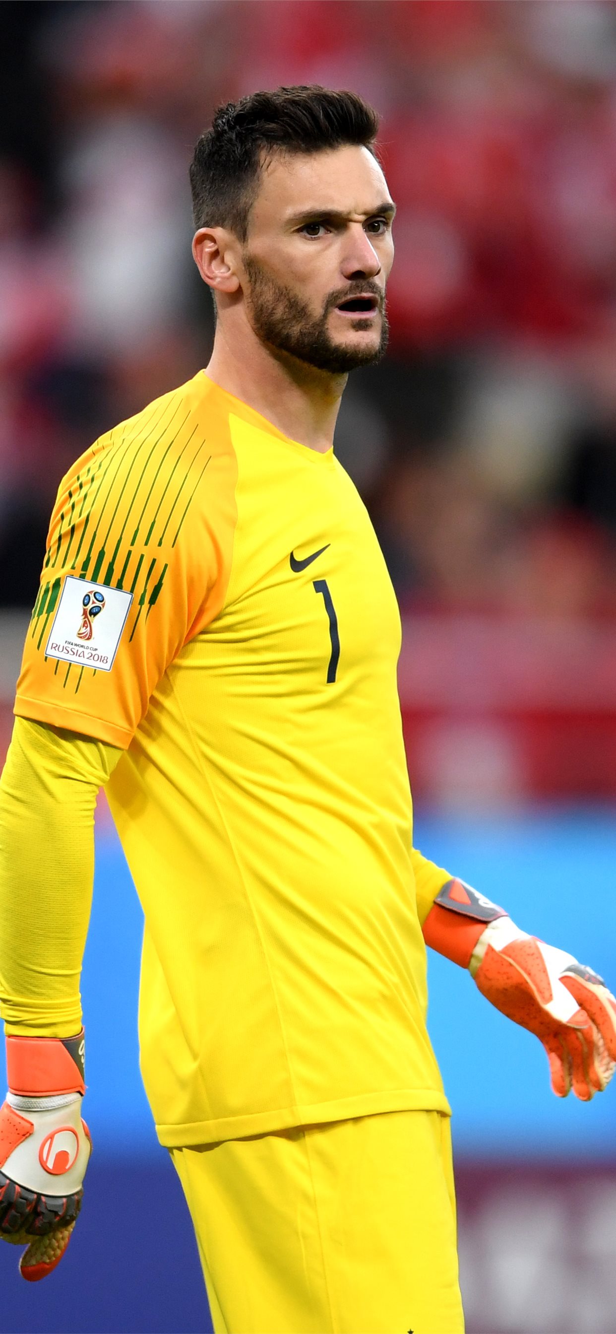 Hugo Lloris Wallpapers