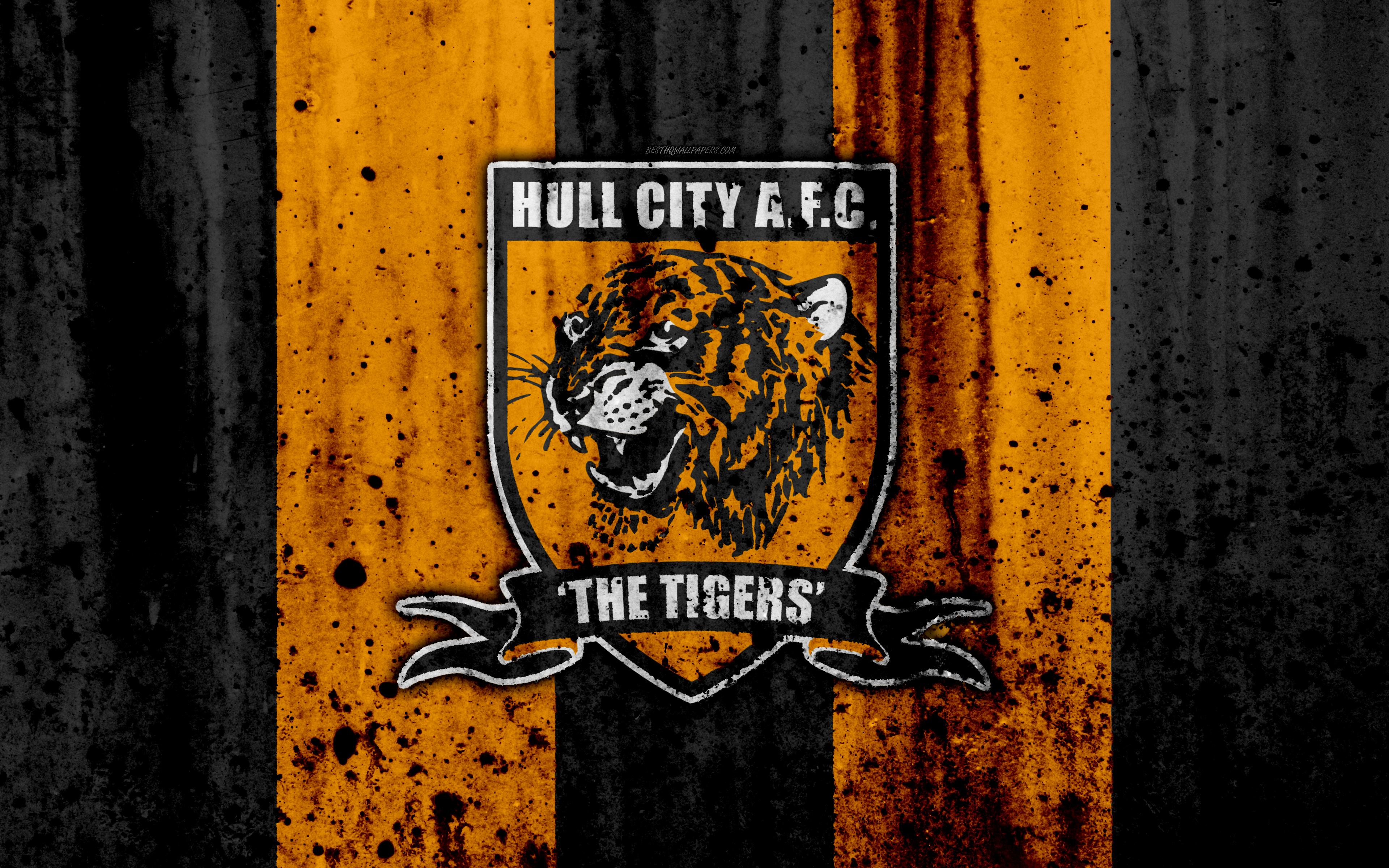 Hull City A.F.C. Wallpapers