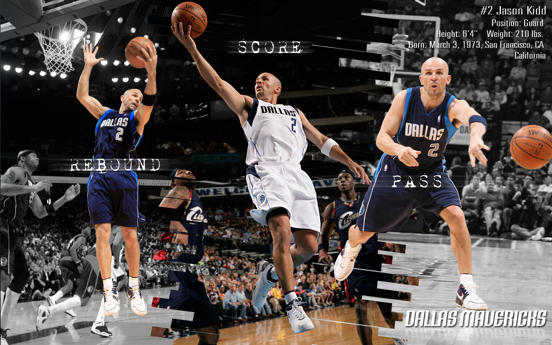 Jason Kidd Wallpapers