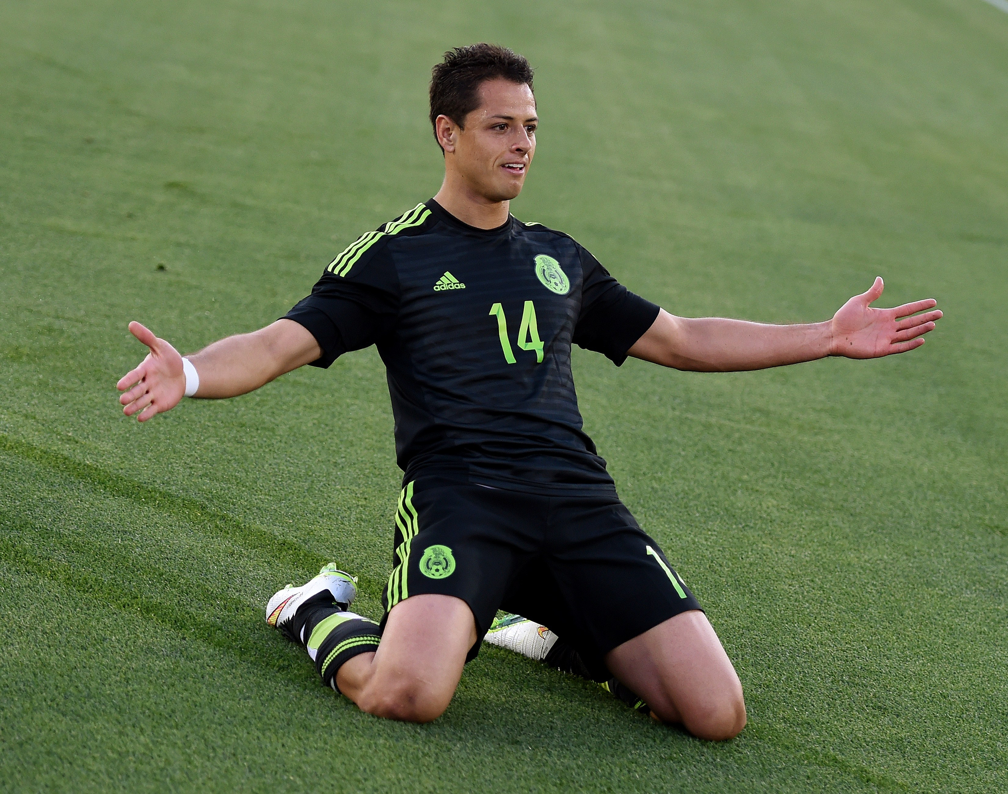 Javier Hernandez Wallpapers