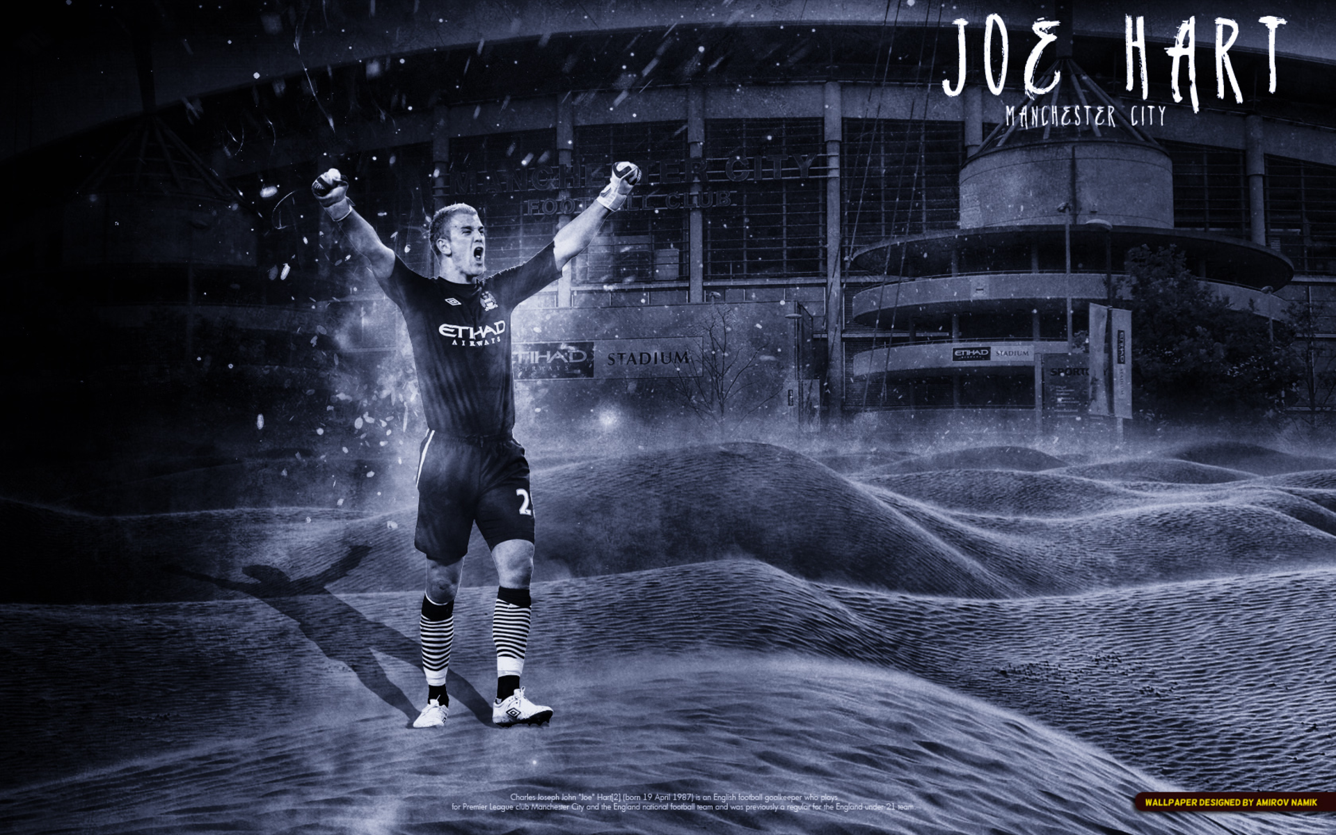 Joe Hart Wallpapers