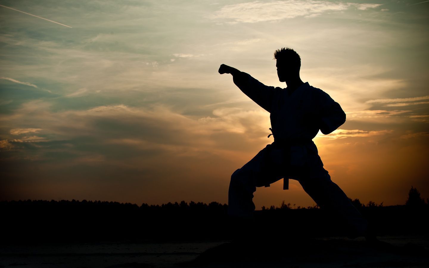 Karate Wallpapers