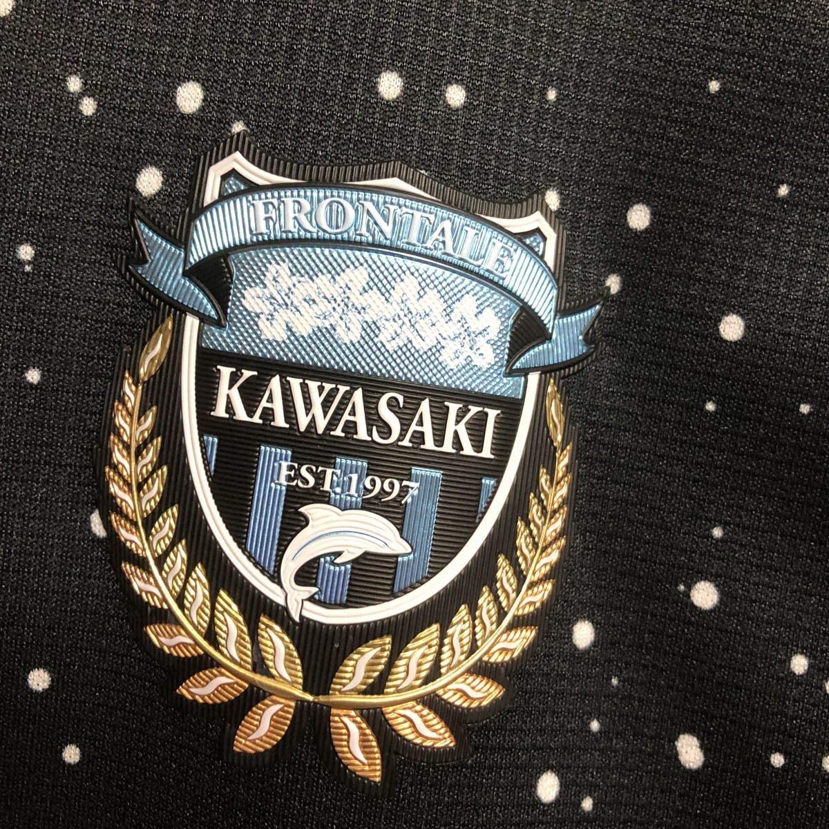 Kawasaki Frontale Wallpapers