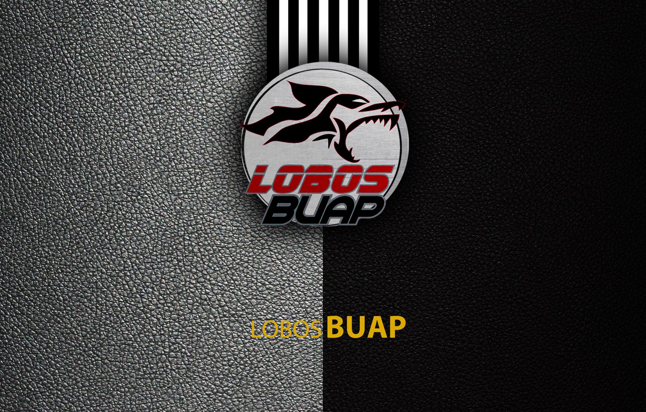 Lobos Buap Wallpapers