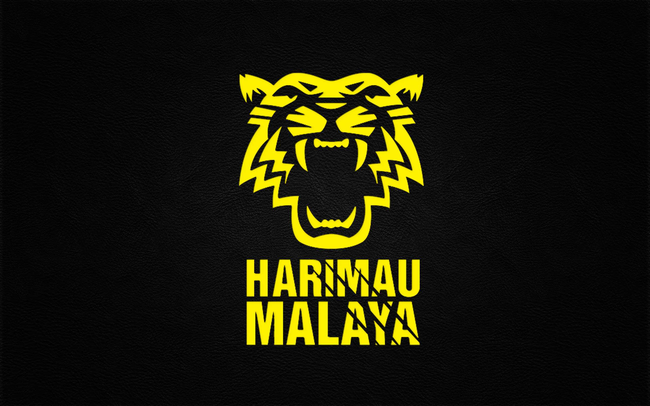 Malaysia National Football Team Wallpapers