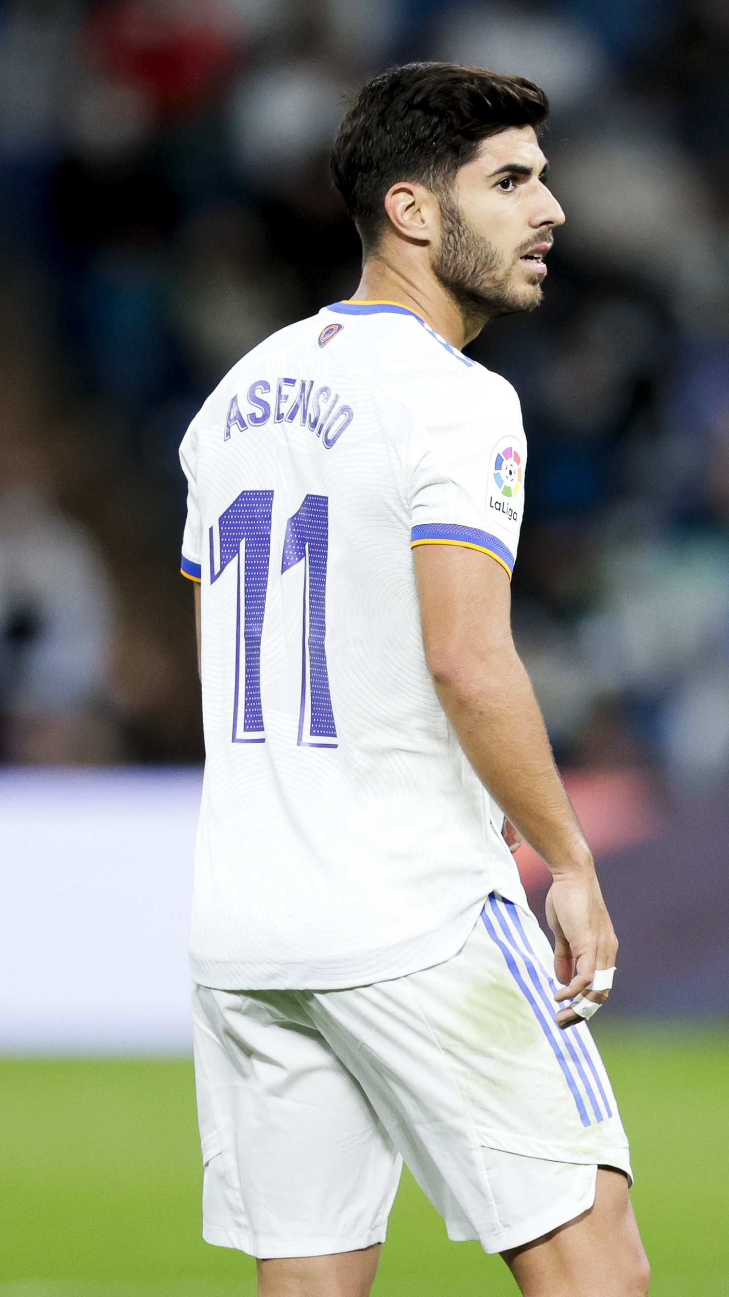 Marco Asensio Wallpapers