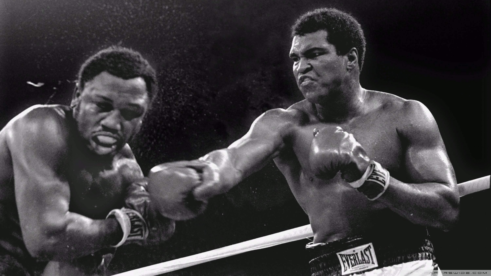 Muhammad Ali Wallpapers