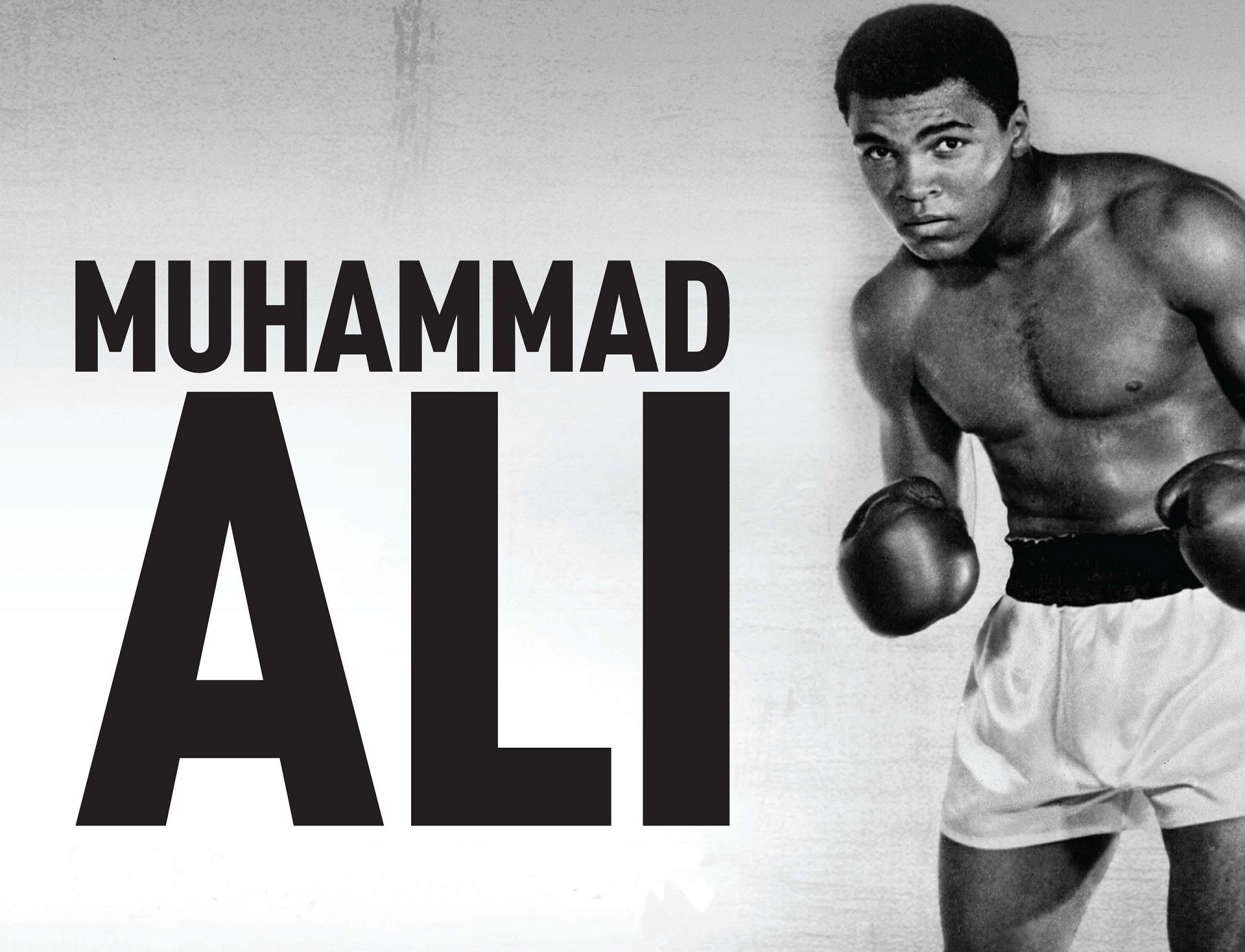 Muhammad Ali Wallpapers