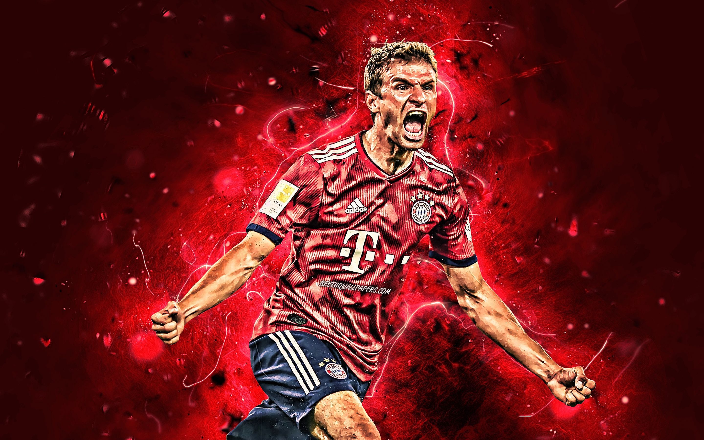 Muller Wallpapers