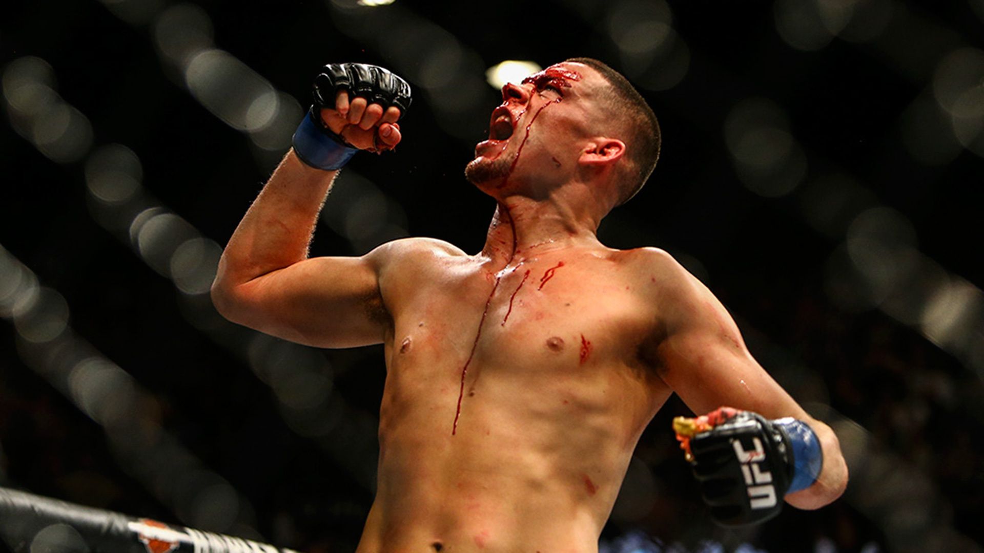 Nate Diaz Art Wallpapers