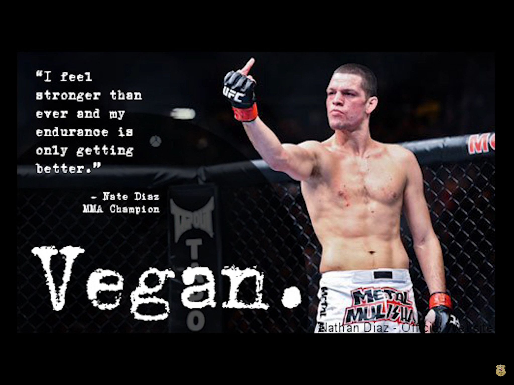 Nate Diaz Art Wallpapers