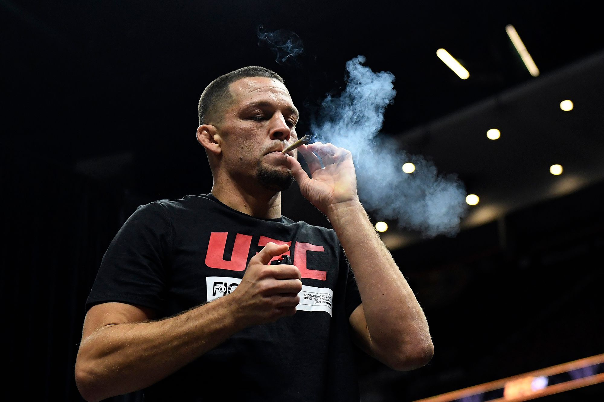 Nate Diaz Art Wallpapers