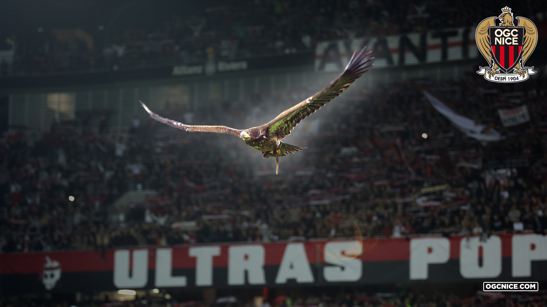 Ogc Nice Wallpapers