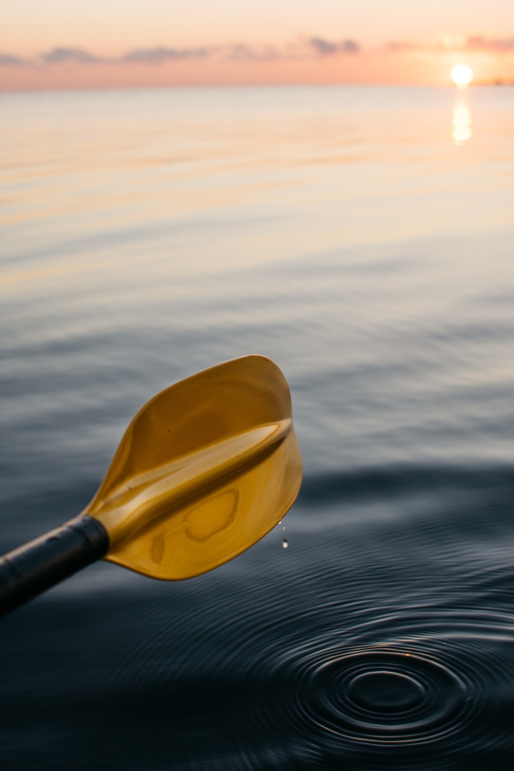 Paddle Wallpapers