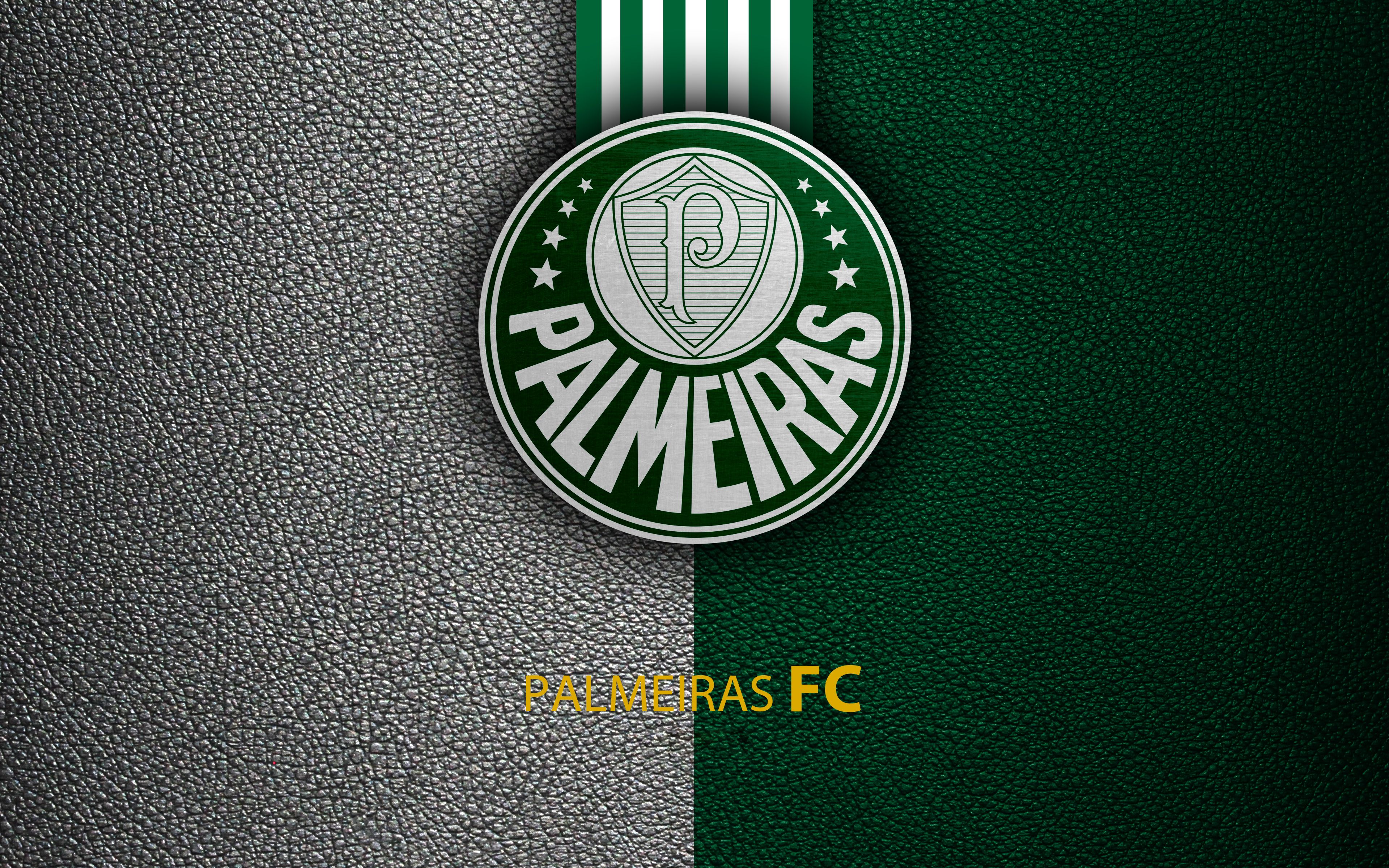 Palmeiras Wallpapers