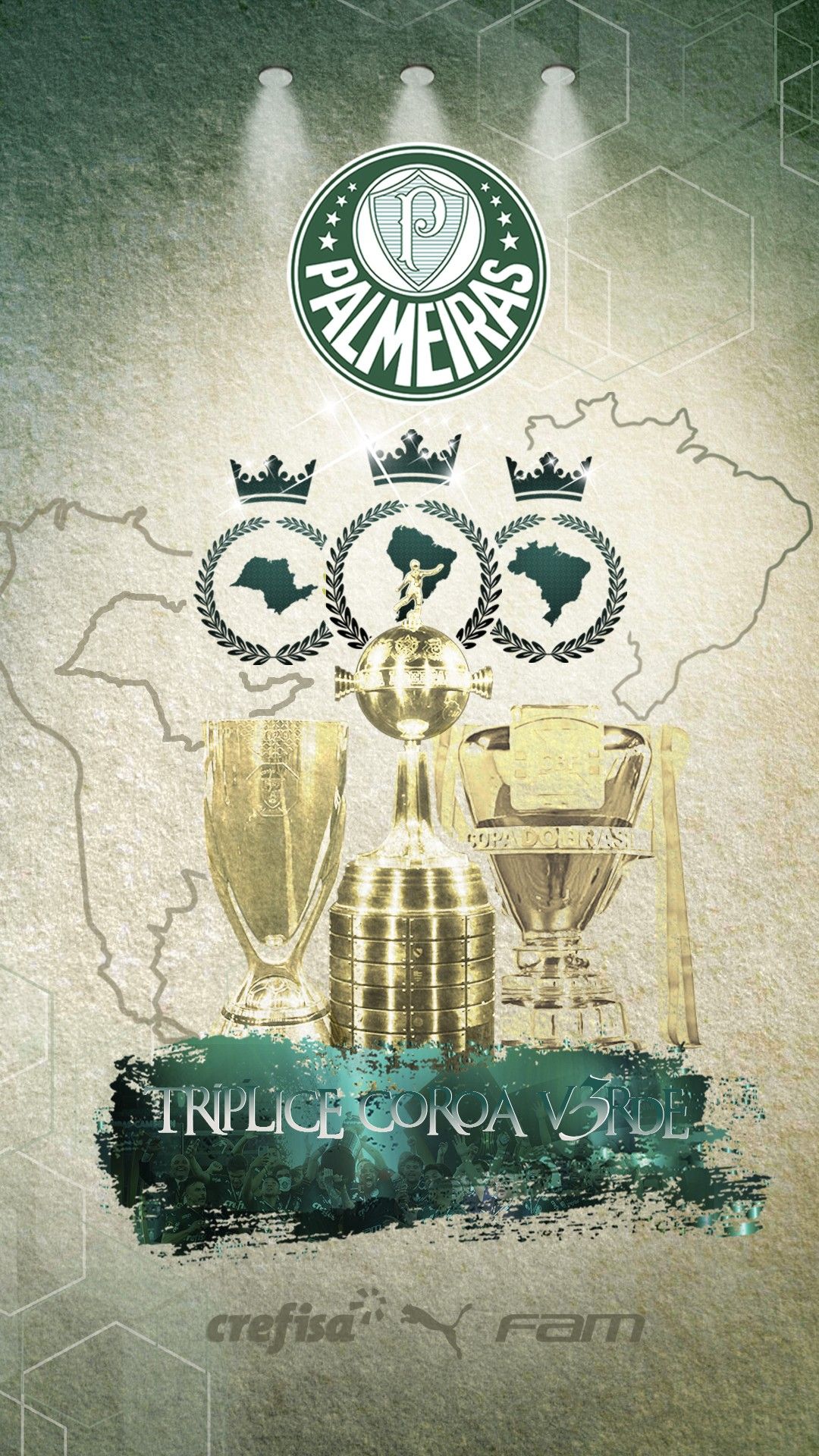 Palmeiras Wallpapers